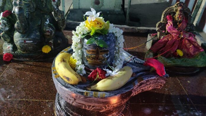 Pooja and Aarti to the Maha Lingam of Kailasanadhu