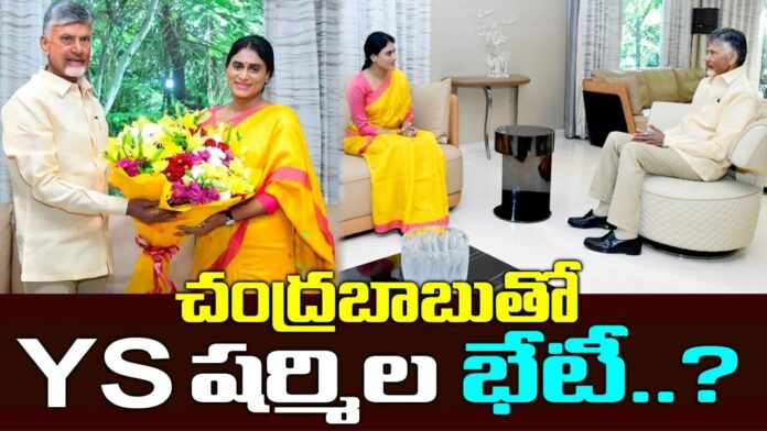 Congress leader Ys Sharmila meets Chandrababu Naidu | Ys Raja reddy | AP Assembly Elections 2024